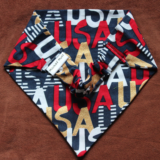 USA Scrunchie Dog Bandana