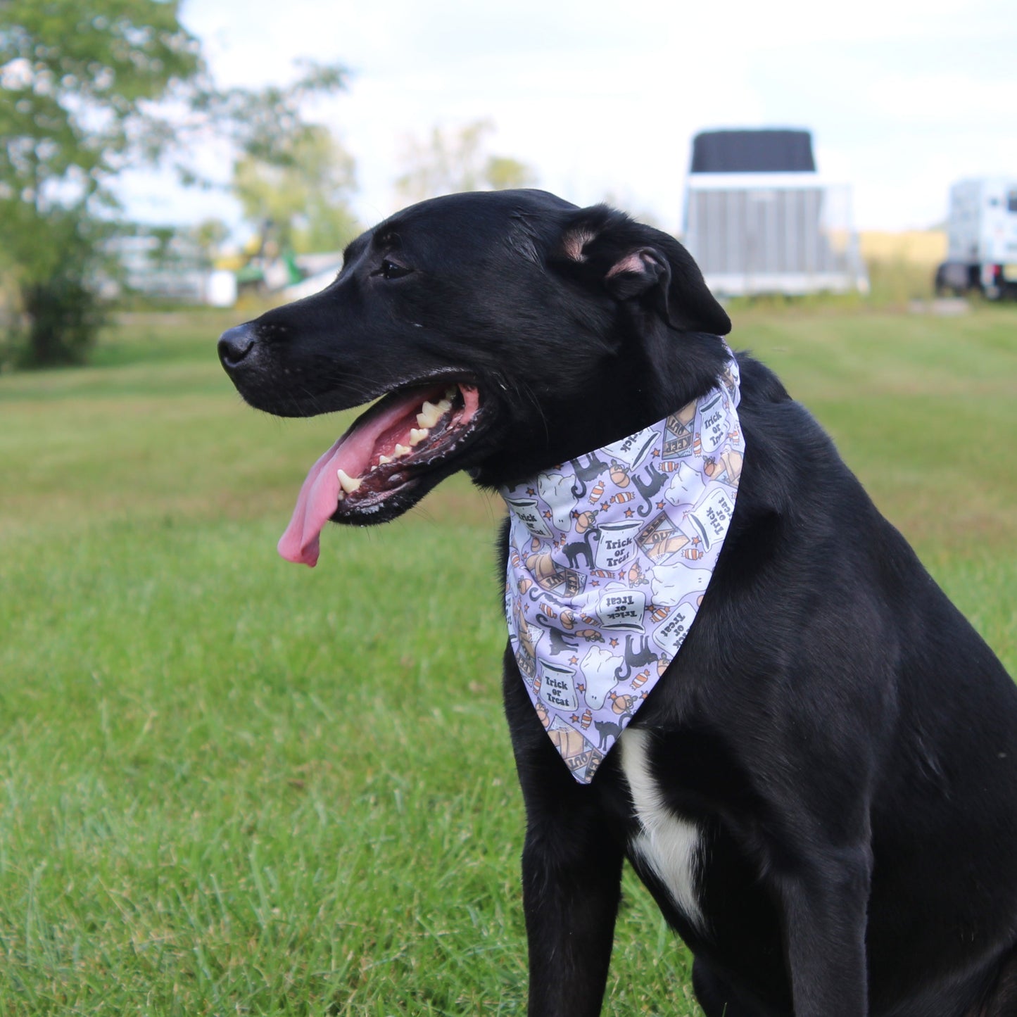 Ghost Trick or Treat Scrunchie Bandana