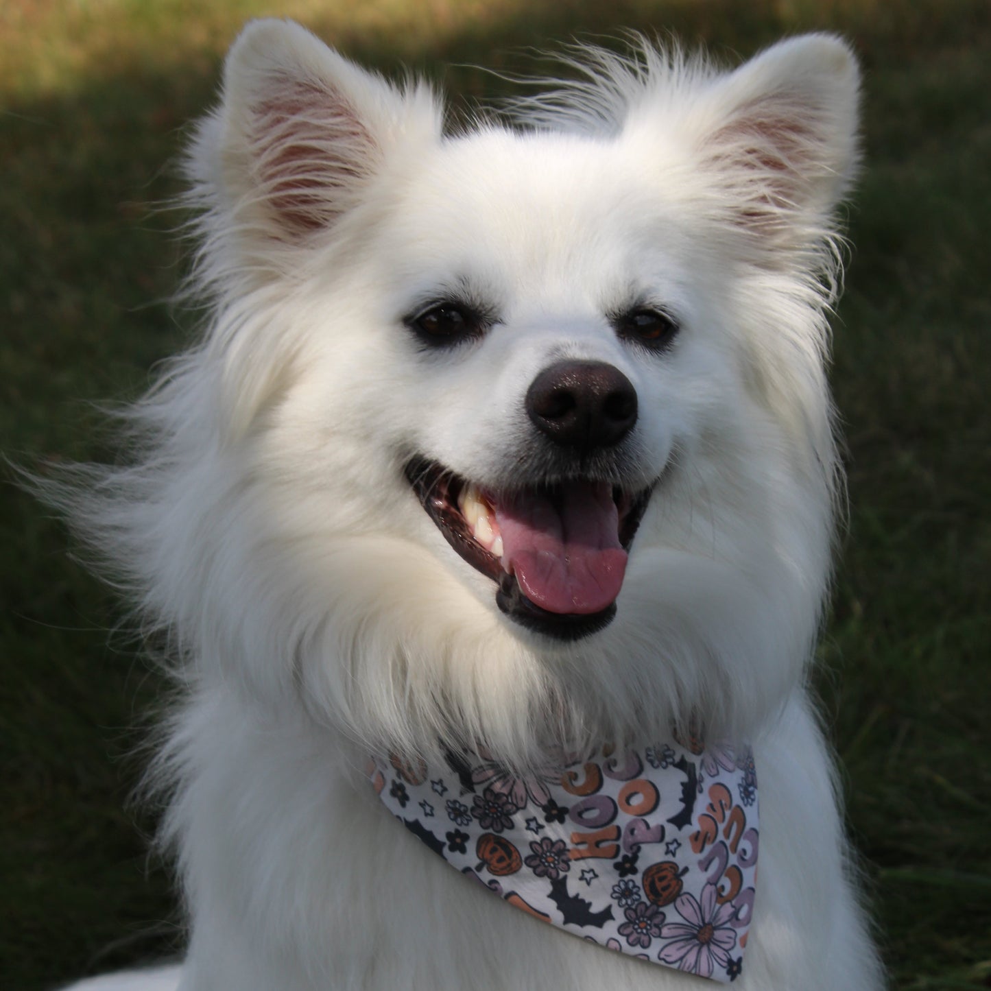 Hocus Pocus Scrunchie Bandana