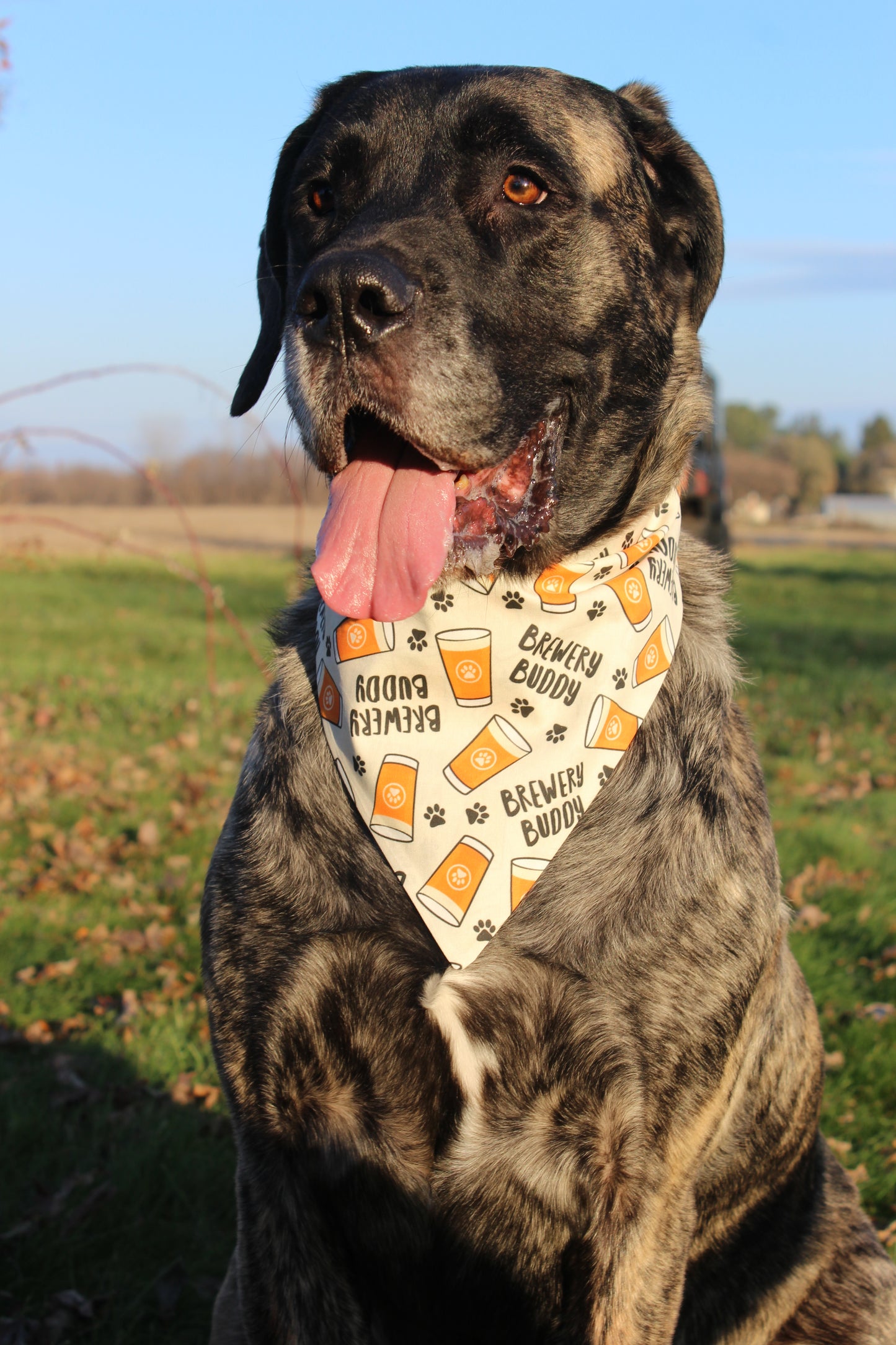 Brewery Buddy Scrunchie Bandana