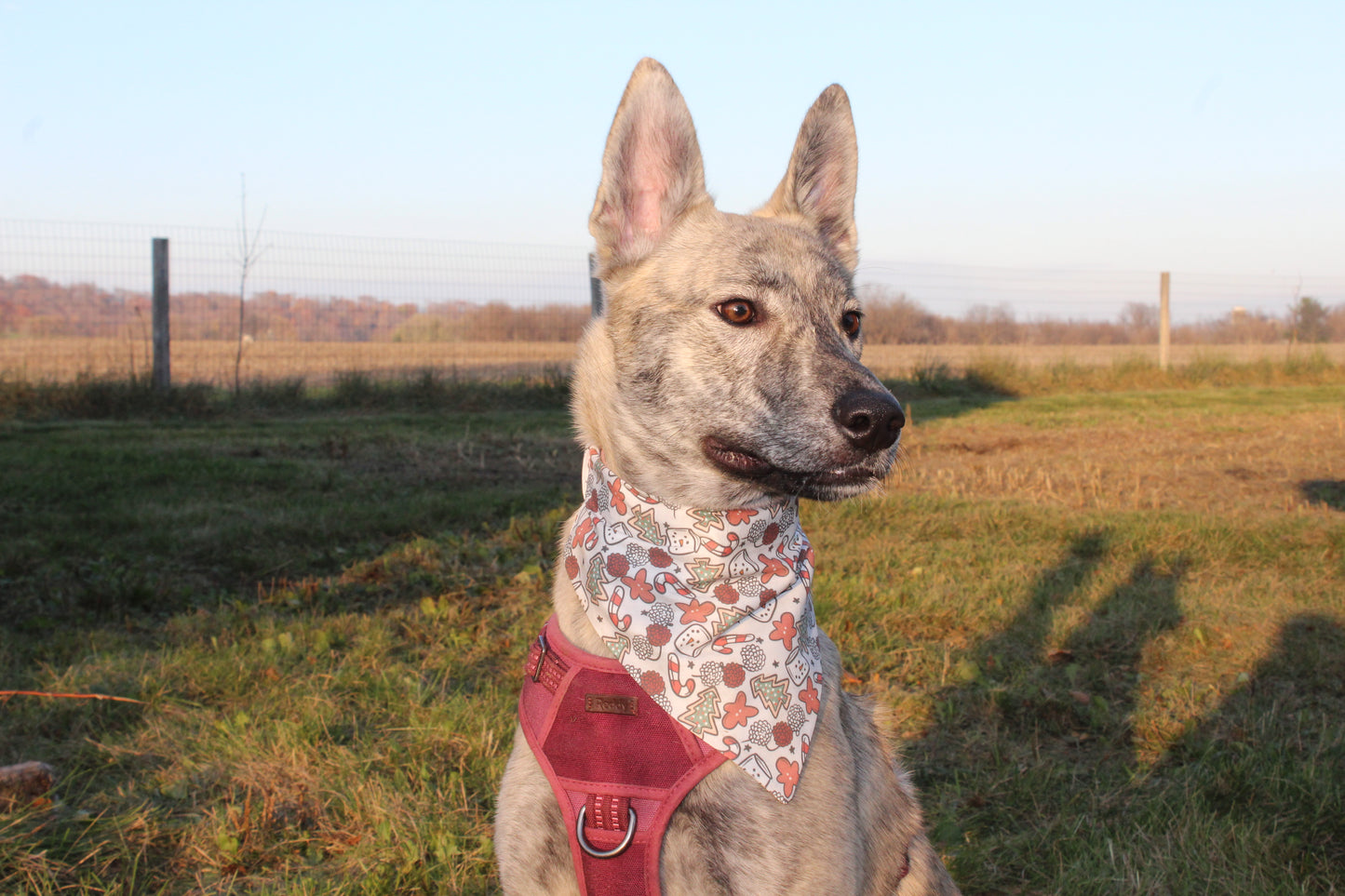 Christmas Treats Scrunchie Bandana