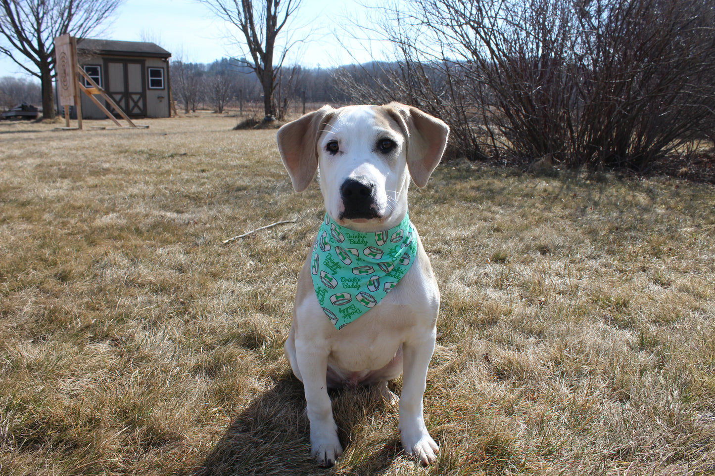 St.Patrick Drinking Buddy Scrunchie Bandana