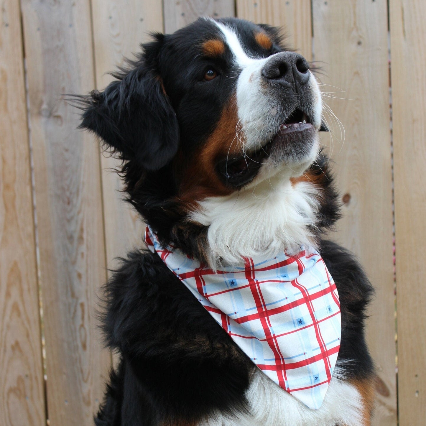 Checkered Patriotic Scrunchie Dog Bandana