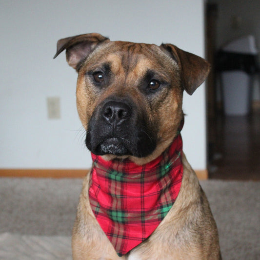 Christmas Plaid Scrunchie Bandana