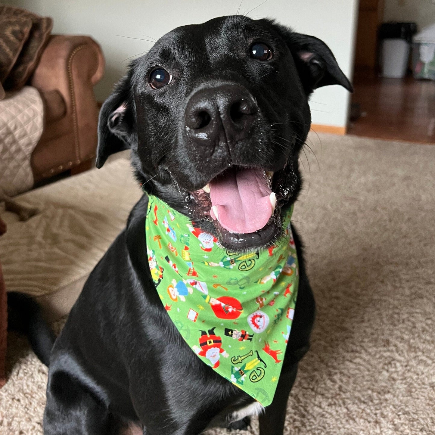 Buddy the Elf Scrunchie Bandana