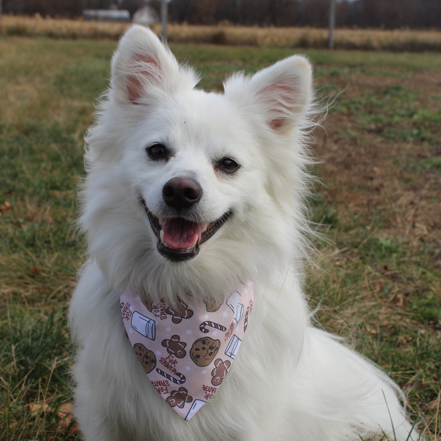 Cookies for Santa Scrunchie Bandana