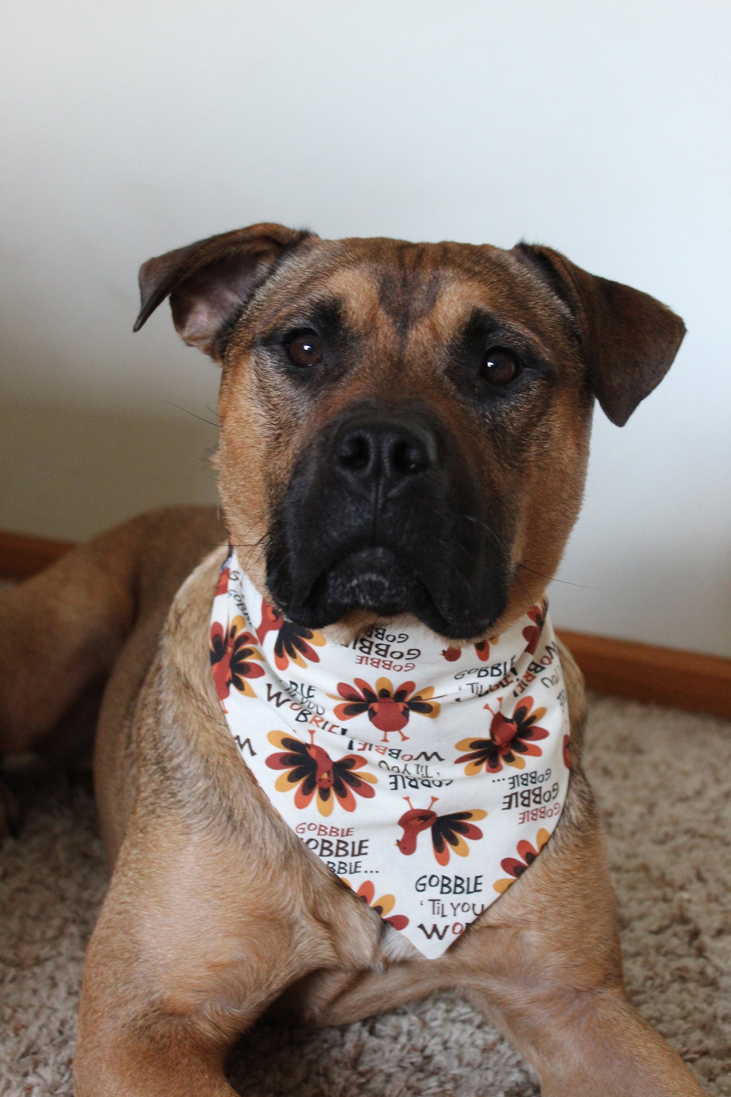 Gobble 'Till You Wobble Scrunchie Bandana