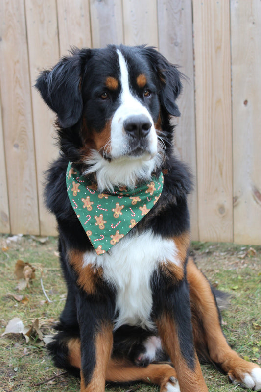 Green Gingerbread Cookie Scrunchie Dog Bandana