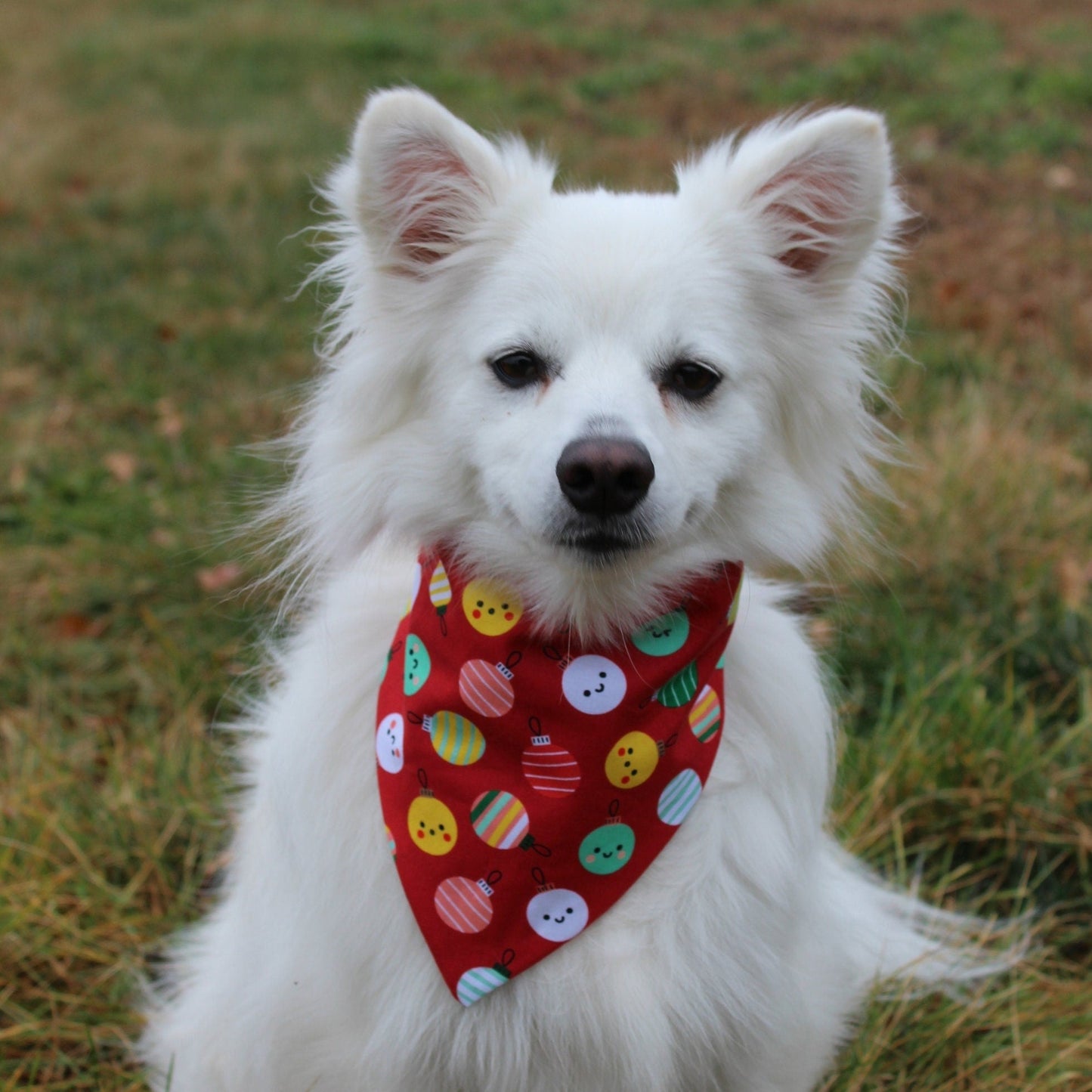 Christmas Ornaments Scrunchie Bandana