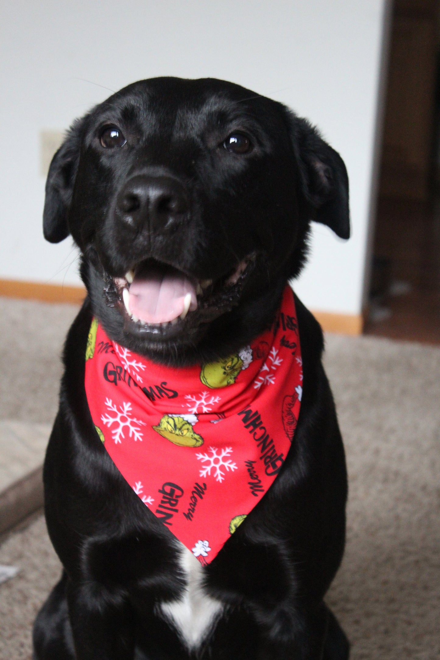 Merry Grinchmas! Scrunchie Bandana