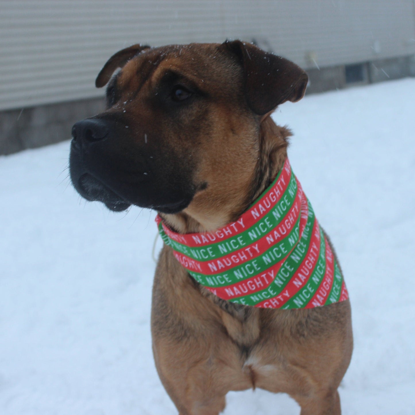 Naughty Or Nice Scrunchie Bandana