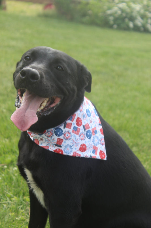 USA Flags and Balloons Scrunchie Bandana