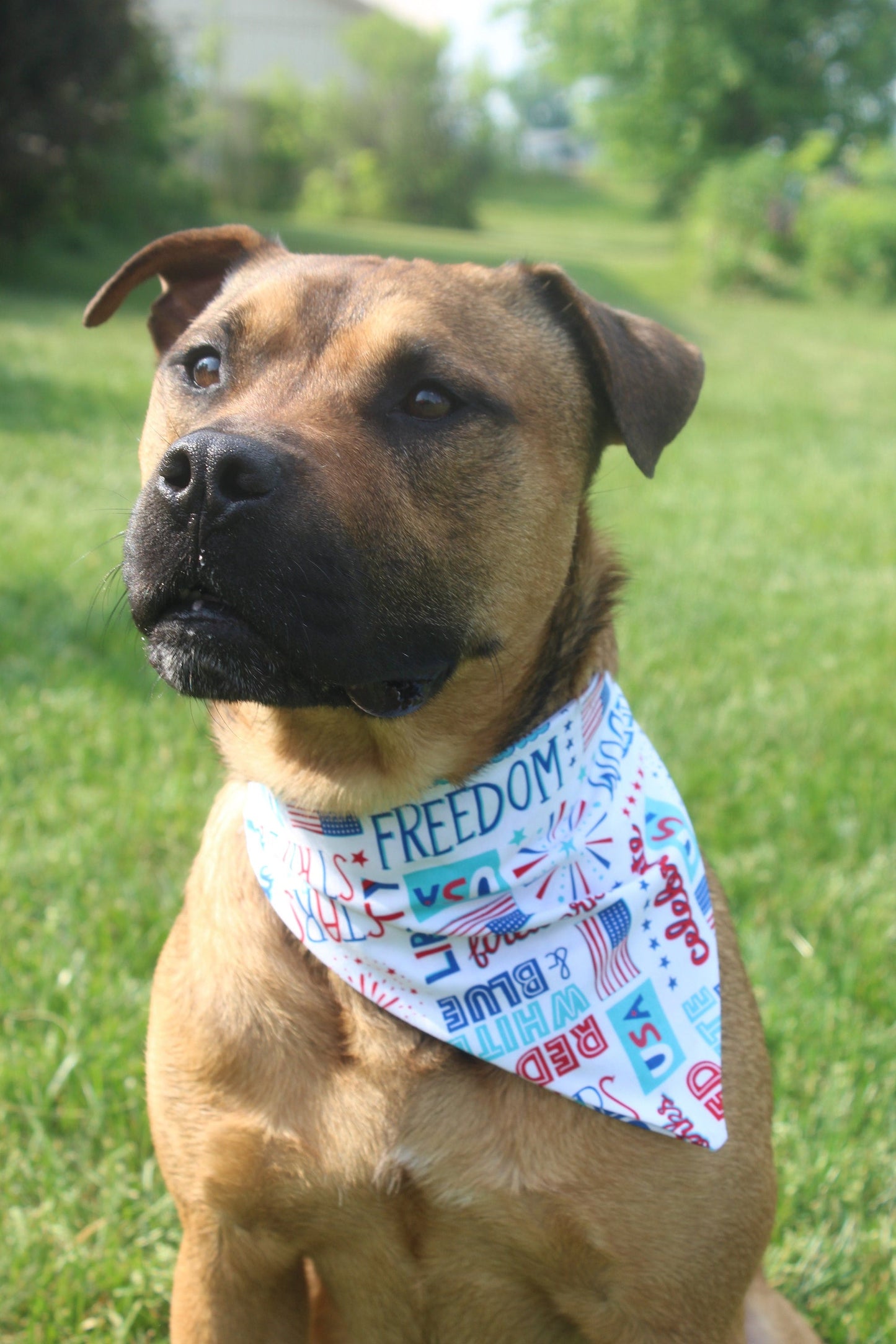 Freedom Scrunchie Bandana